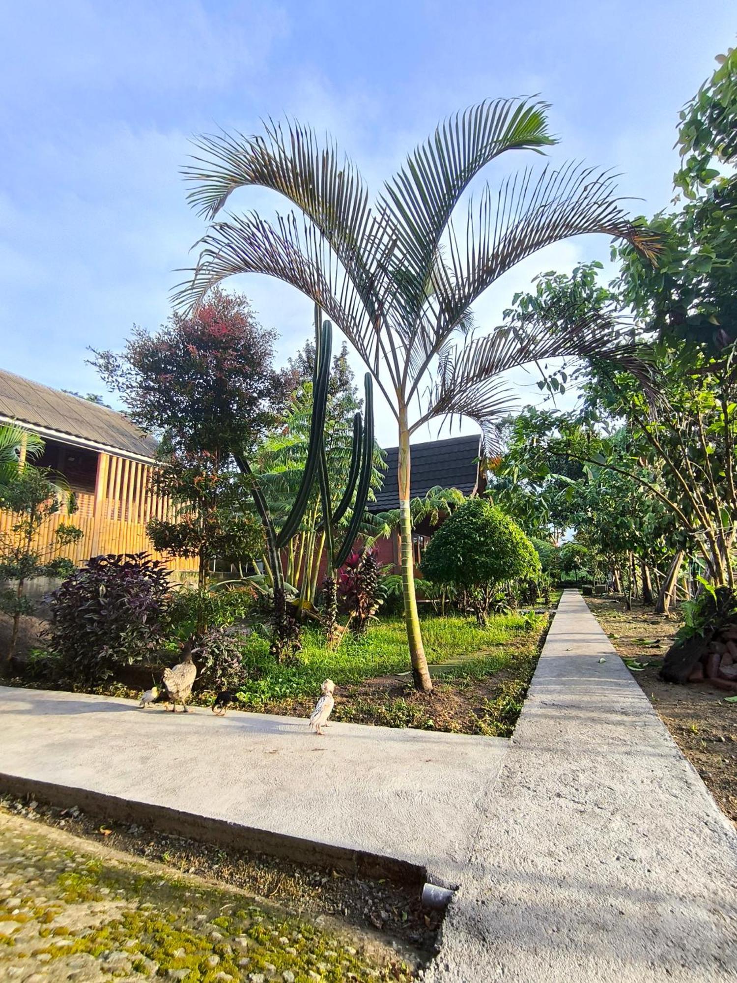 Tommy Bungalow Tetebatu Exterior foto
